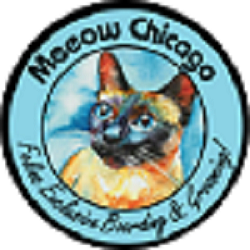 The Member's profile image.