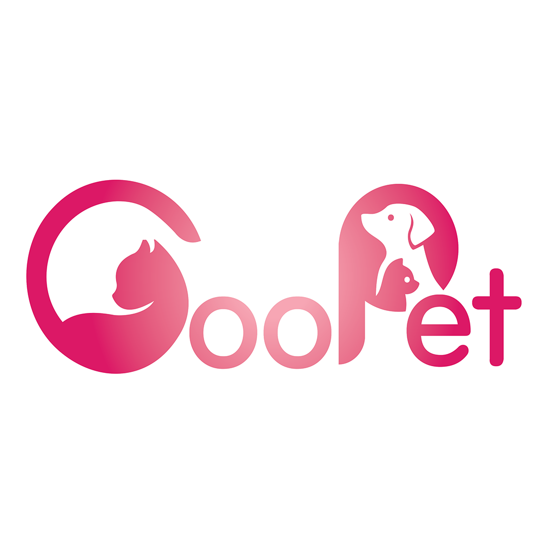 The Member's profile image.